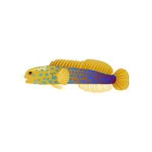 Blue Dot Goby